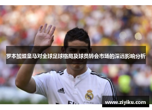 罗本加盟皇马对全球足球格局及球员转会市场的深远影响分析